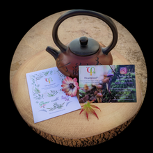 Load image into Gallery viewer, Heartwood seed pack, business card and teapot - Chaenomeles sinensis