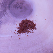 Load image into Gallery viewer, Rhododendron schlippenbachii Royal Azalea seeds