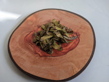 Load image into Gallery viewer, Seeds of Acer mandshuricum Manchurian Maple