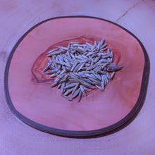 Load image into Gallery viewer, Bambusa tulda Bengal Bamboo Indian Timber seeds