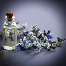 Load image into Gallery viewer, Glass jar of natural cosmetic oil of garden annual borage Borago officinalis has been used as a herb since the Roman Empire