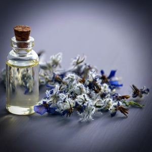 Glass jar of natural cosmetic oil of garden annual borage Borago officinalis has been used as a herb since the Roman Empire