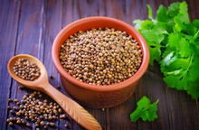 Load image into Gallery viewer, Fresh aromatic herb leaves of Coriandrum sativum coriander cilantro sit next to kitchen pots of seeds | Heartwood Seeds UK