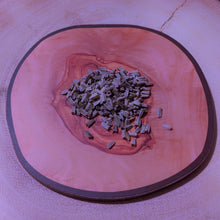 Load image into Gallery viewer, Echinacea purpurea Eastern Purple Coneflower seeds