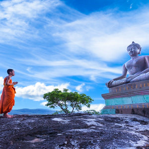 A buddhist Monk worships the statue of Buddha next to a Ficus religiosa Bodhi Peepal bonsai tree on a mountain in Sri Lanka 
