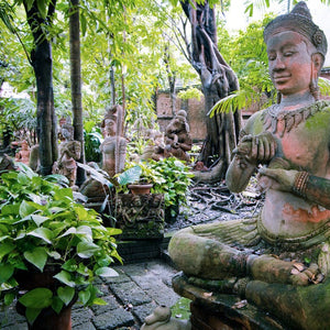 Sacred Buddhist statues in Thailand where the Peepal Tree has deep spiritual significance
