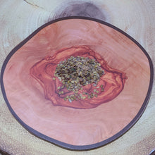 Load image into Gallery viewer, Iberis amara Bitter Wild Candytuft Seeds