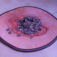 Load image into Gallery viewer, Jacaranda mimosifolia Blue Jacaranda Tree seeds