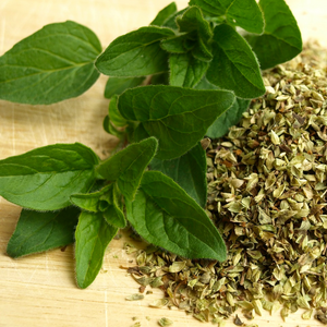 Fresh green and chopped, dried herb leaves of Oregano Origanum vulgare in a kitchen prior to cooking