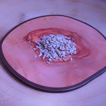 Load image into Gallery viewer, Schefflera arboricola Dwarf Umbrella Tree seeds
