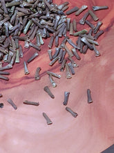 Load image into Gallery viewer, Verbena hybrida Rose Vervain Purple Garden Verveine Seeds Close-up
